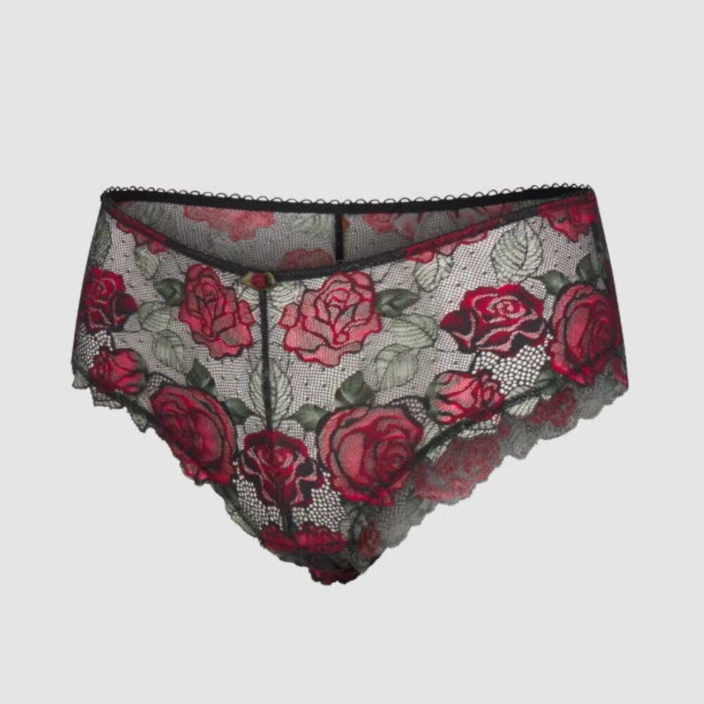 ❤️ SOLD OUT ONLINE! NWT Savage X Fenty Les Roses Lace Hipster Panty XL